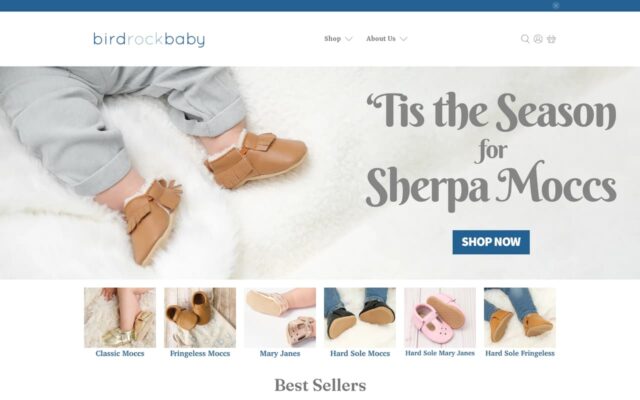 Screenshot of the Bird Rock Baby website